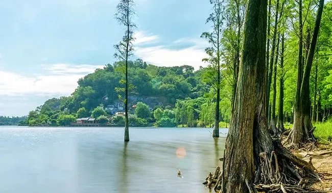 9ecfc44aaccfe419ab063a8f1b3ed8cf-sz_66508