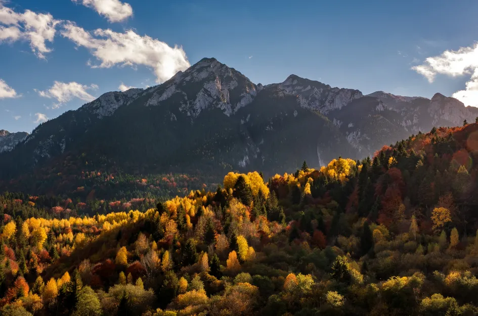 9efab322f09d277b3c6507ed23fc6bcd-sz_1073529