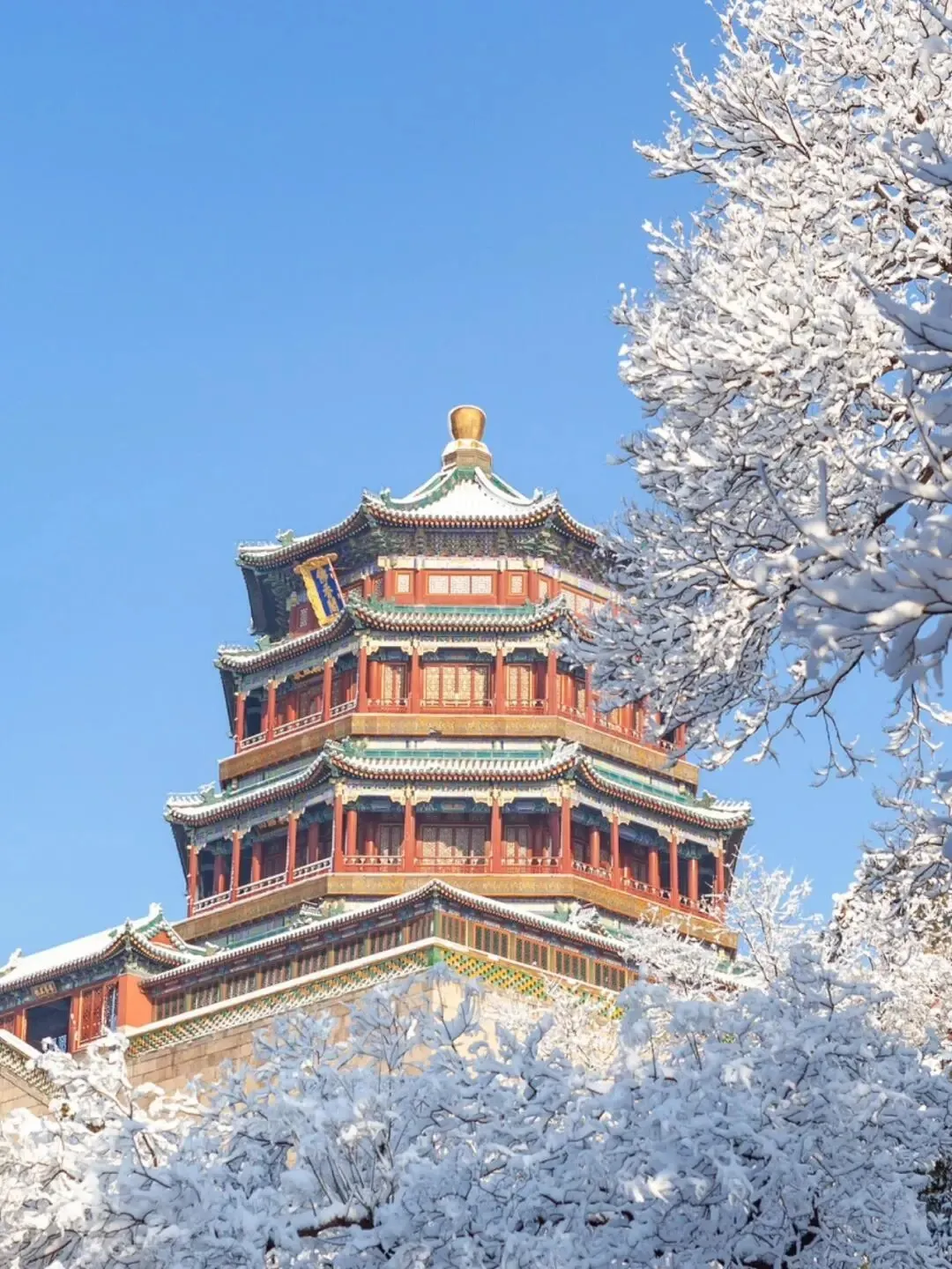 9f06b2ca2f9b74f38cd98db66021b8ac-sz_405823-4