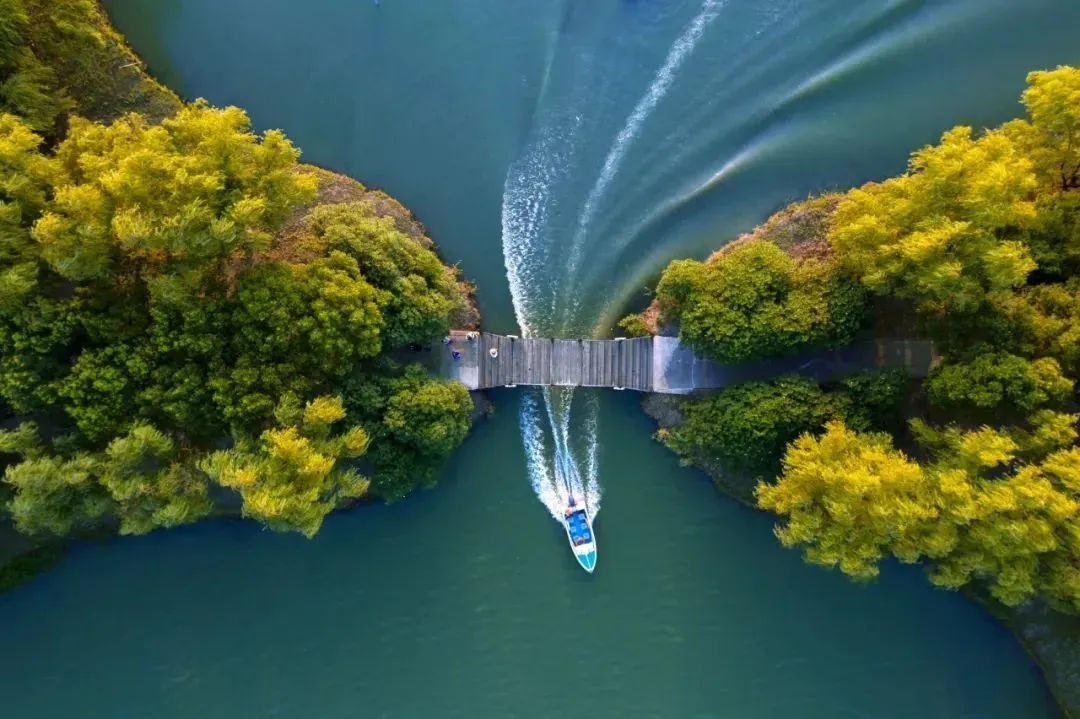 9f4a523a116a69a8814bb754614b7828-sz_1491663