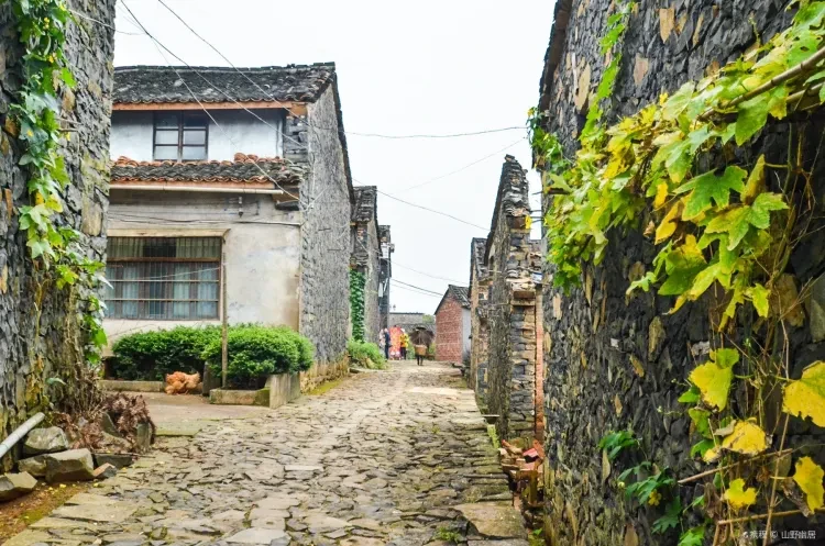 9f991bc2ab87b075af61bdb036531435-sz_518919 9f991bc2ab87b075af61bdb036531435-sz_518919