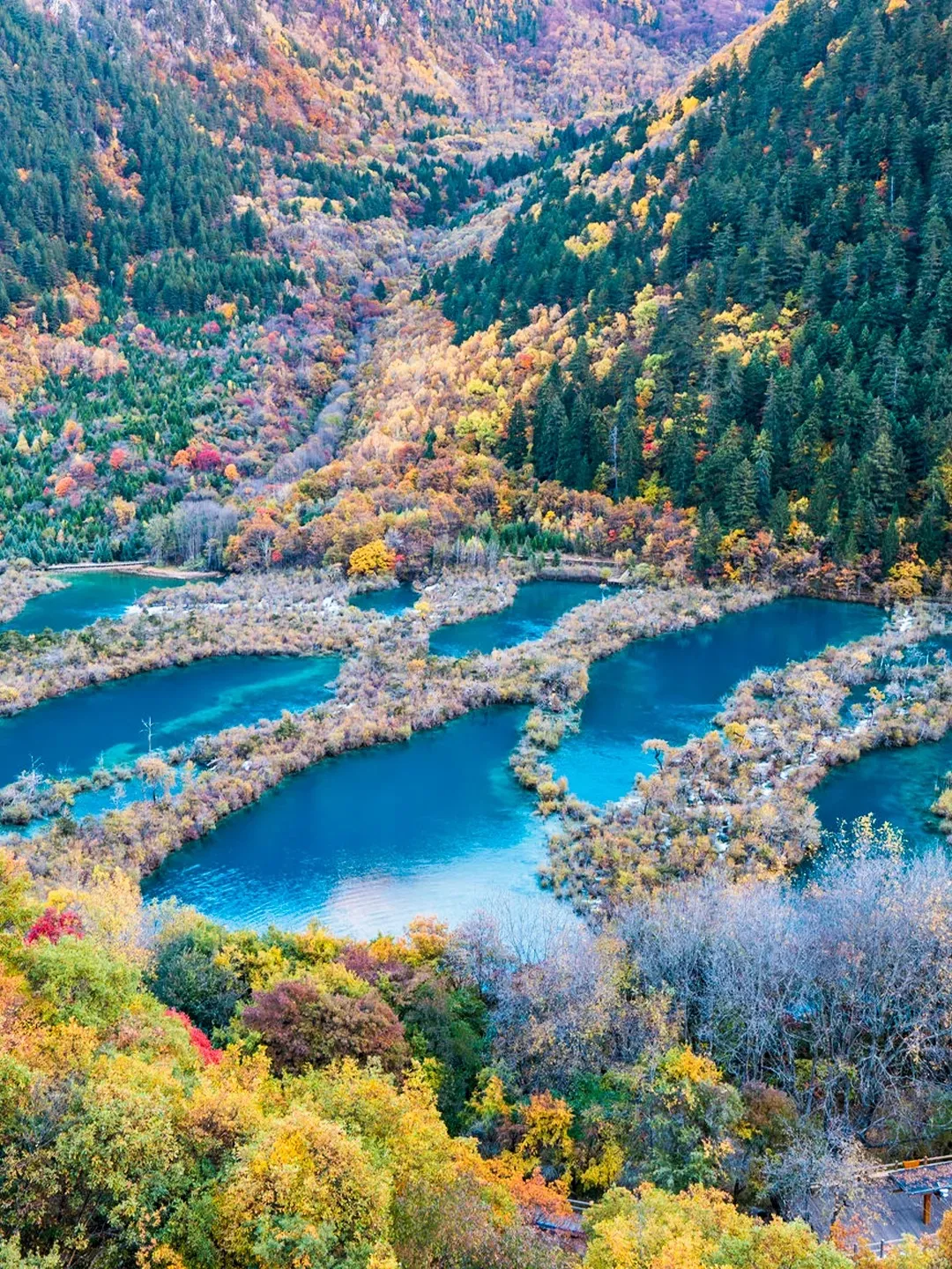 9f9e24e4906b9547fe1925b580c30ec5-sz_765452