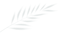 9ffdda0738779c791156a3c4379fcc0a-sz_376840 9ffdda0738779c791156a3c4379fcc0a-sz_376840