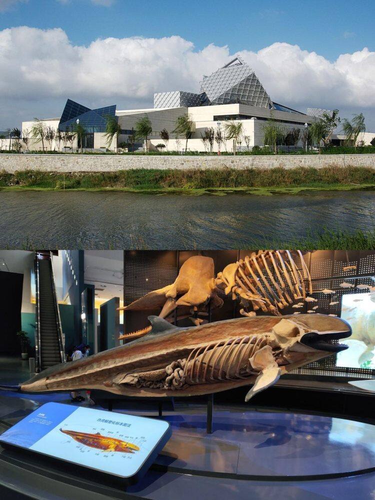 CKWr0IBzXSyn2umOmc2BKKOt_LoMTDOL CKWr0IBzXSyn2umOmc2BKKOt_LoMTDOL