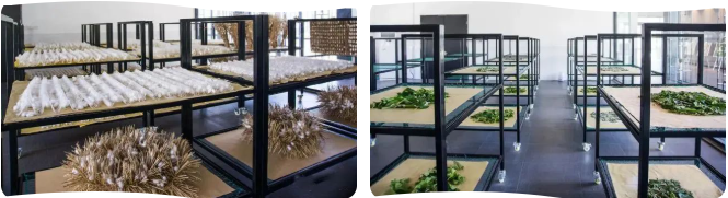 ECBadRjpESPbkzZH ECBadRjpESPbkzZH