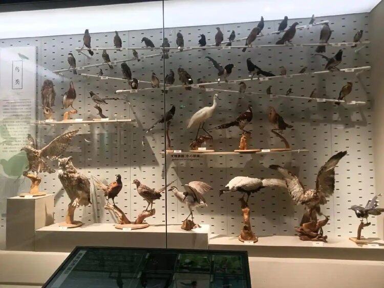 MnpO_JIOoC39-ljcn9a6Rix3wl7hpRAv