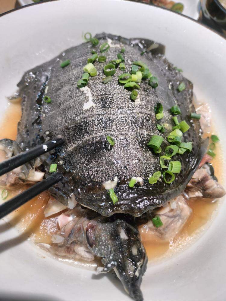 PLN0iLtz6ipnN5meJxp92NX7slYK6yXf PLN0iLtz6ipnN5meJxp92NX7slYK6yXf