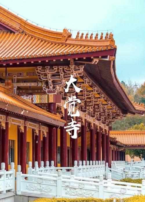 Tsk7ho0auWqnB8YoX6OJs6TyMXlEzsSB.jfif_-1 Tsk7ho0auWqnB8YoX6OJs6TyMXlEzsSB.jfif_-1