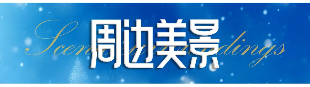 a011d8e76059b37ae0c6d7a371e03dc6-sz_113590-1