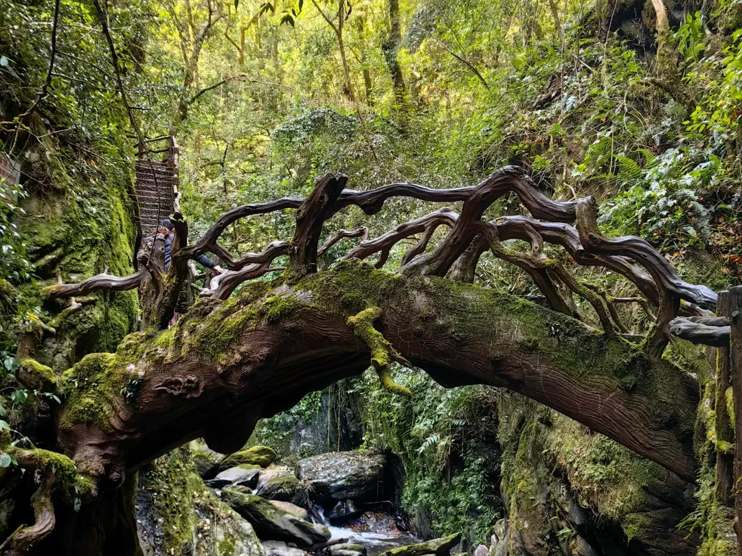 a0408af61fb916f26c543918ae00a4fc-sz_3528719 a0408af61fb916f26c543918ae00a4fc-sz_3528719