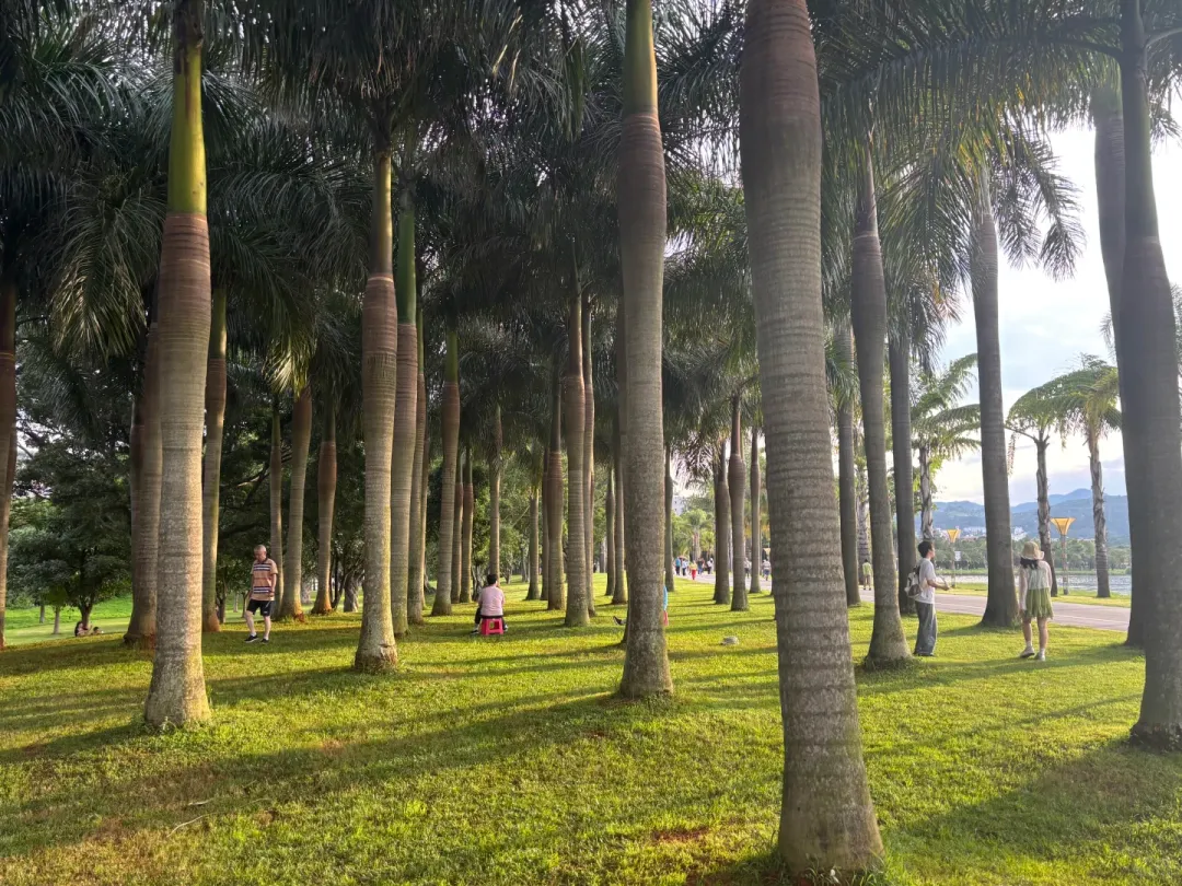 a077813c3335e8bb7edca311f914eaf9-sz_3750111