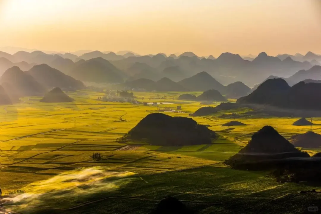 a0a964375d24391f8f72595bb145d482-sz_1258681