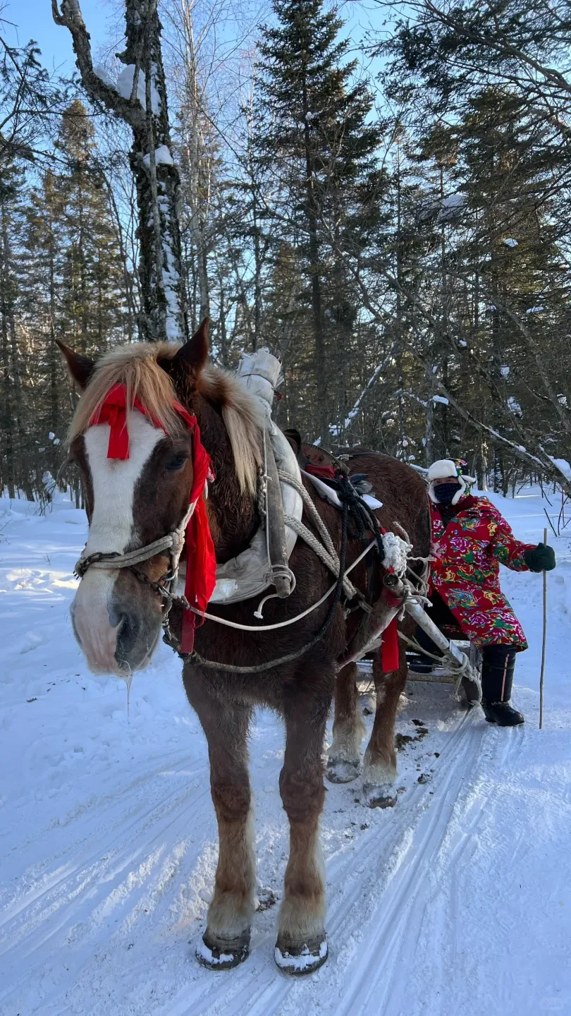 a0bb2563791cd09d54c892e859ee5476-sz_2869380-1