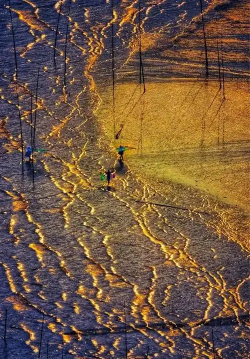 a0da752c1704e8ab1b8a3dad0318affc-sz_207039