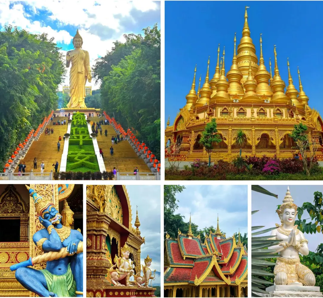 a0e2b79ba123587fbe699417a1cd8734-sz_480312-1