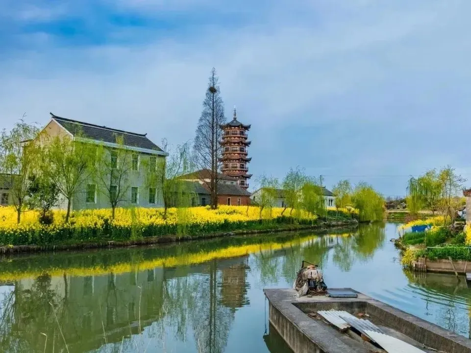 a14f8966beddba1039f6e67c6738d5f8-sz_116077