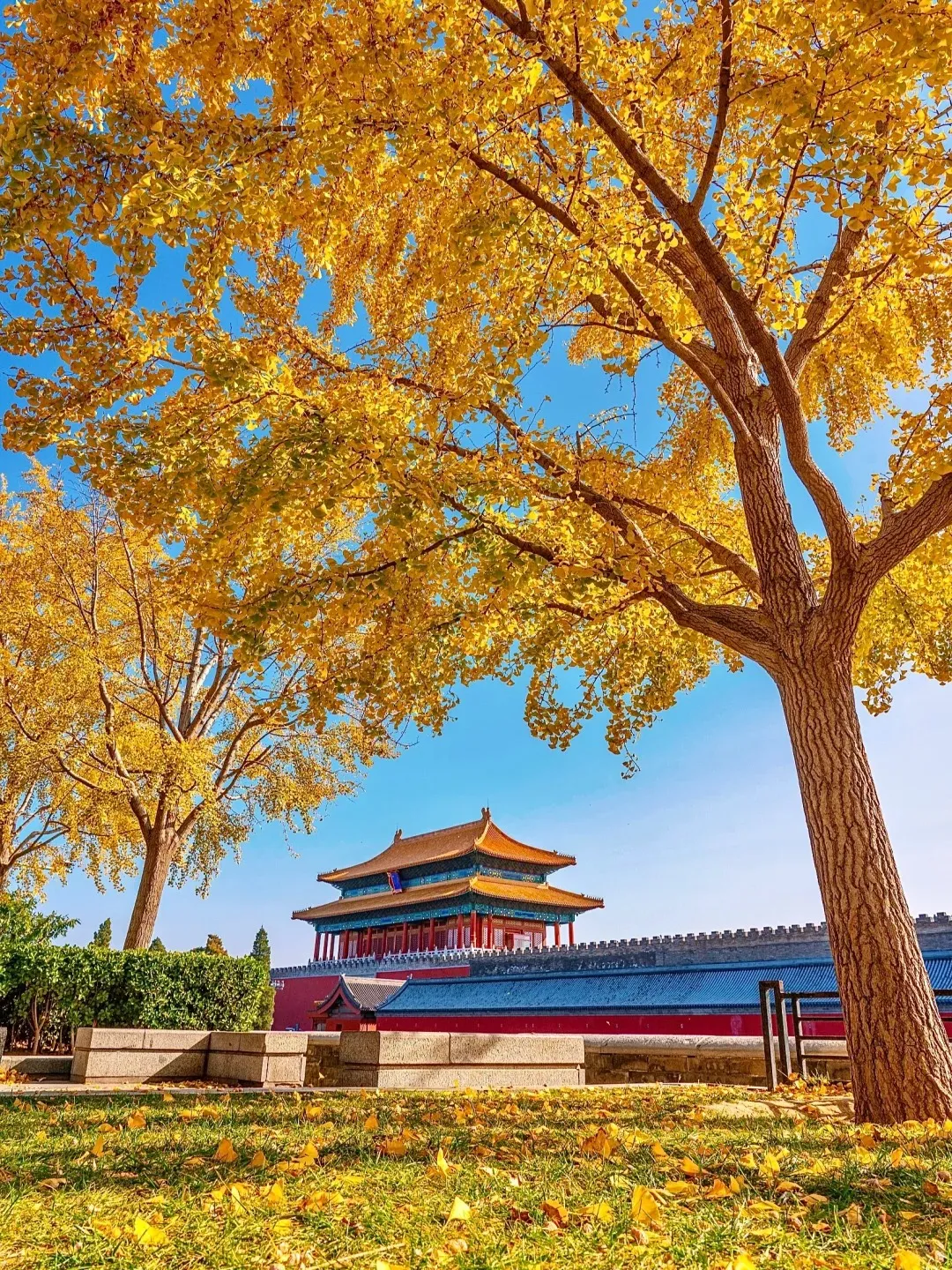 a175b15dcd1f48d9bfcd662aeb0214af-sz_928192 a175b15dcd1f48d9bfcd662aeb0214af-sz_928192