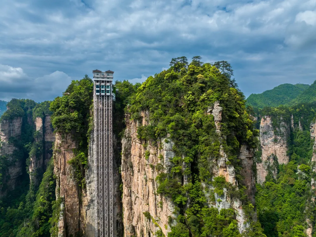 a179cdde9386a5da9b8b7acff1f75f7d-sz_487563