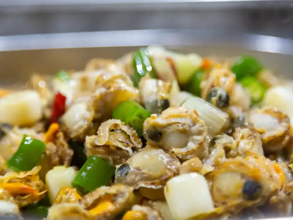 a19a70b861c614fc1958c341dac00e7e-sz_1022311