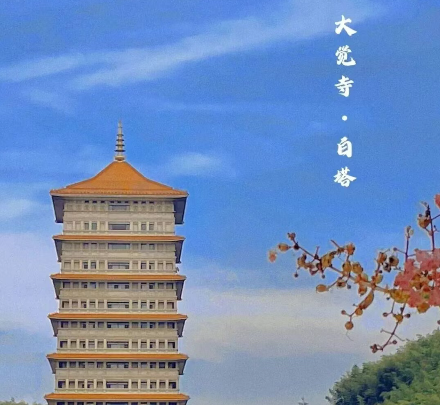 a2073869c8648cf1f1e4d260cb48f1e7