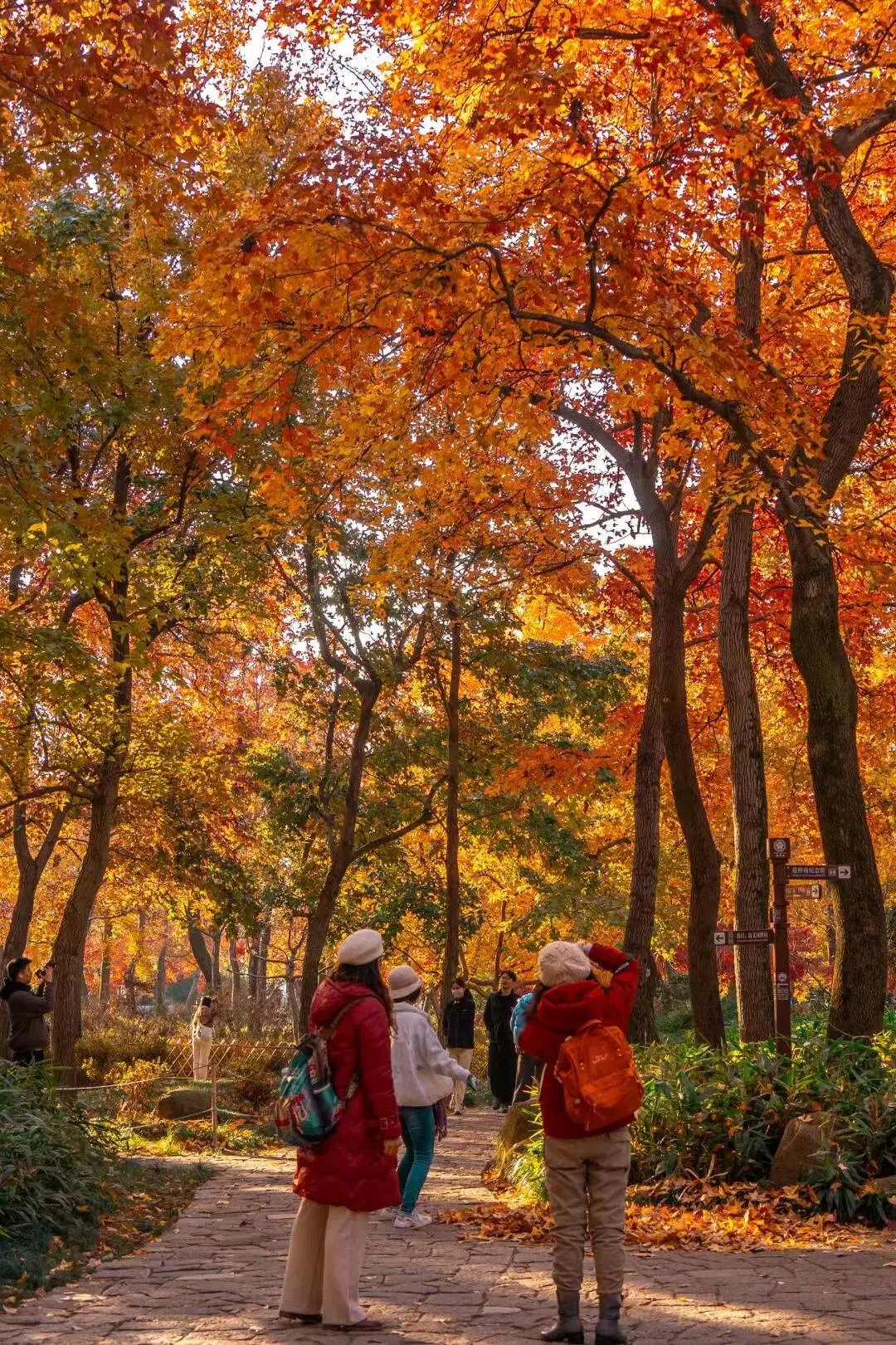 a2122ee61966478baf0f6f94fa7946df-sz_532547