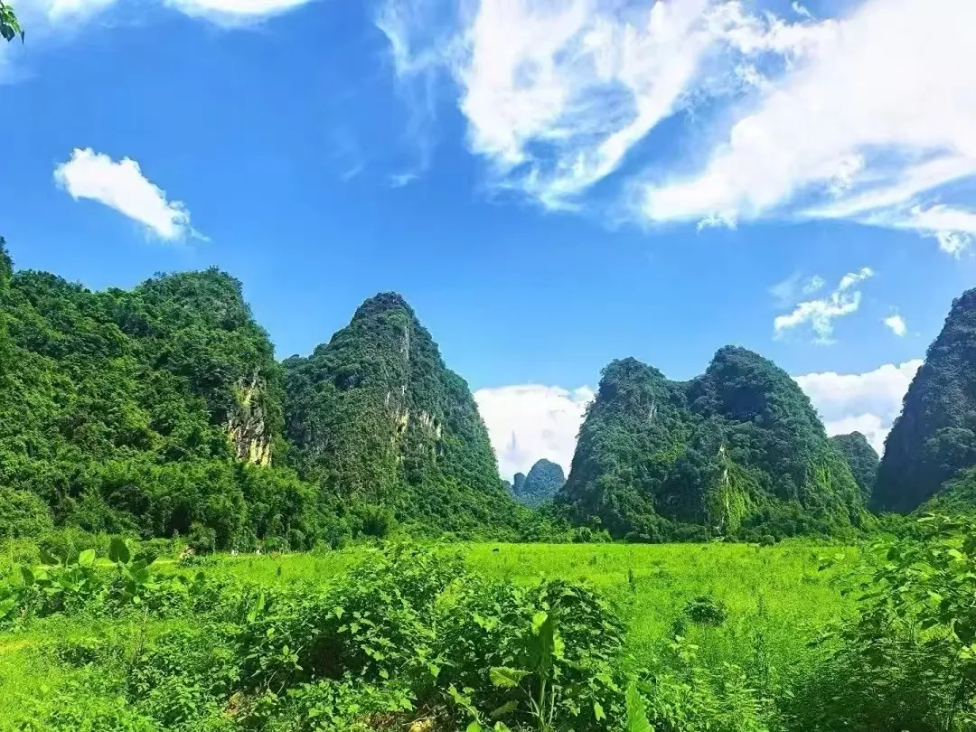 a26901698d8de07e26bd5bf4d89e9d83-sz_340135-2