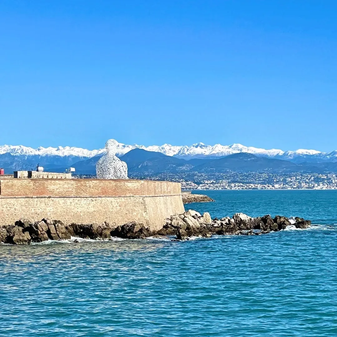 a2a6ba2767290cbb86a99c82f5488975-sz_427161