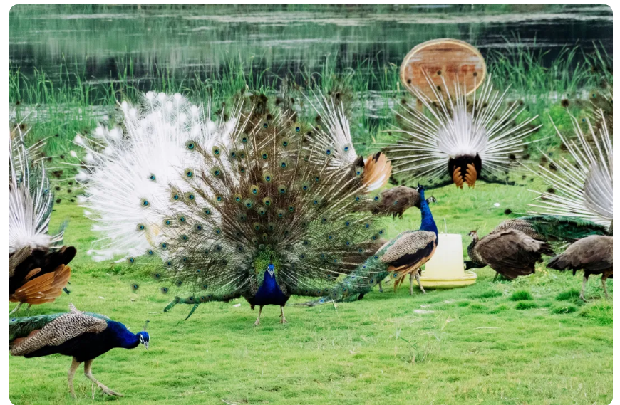 a2ab0953431a6672cc05229810eb1521