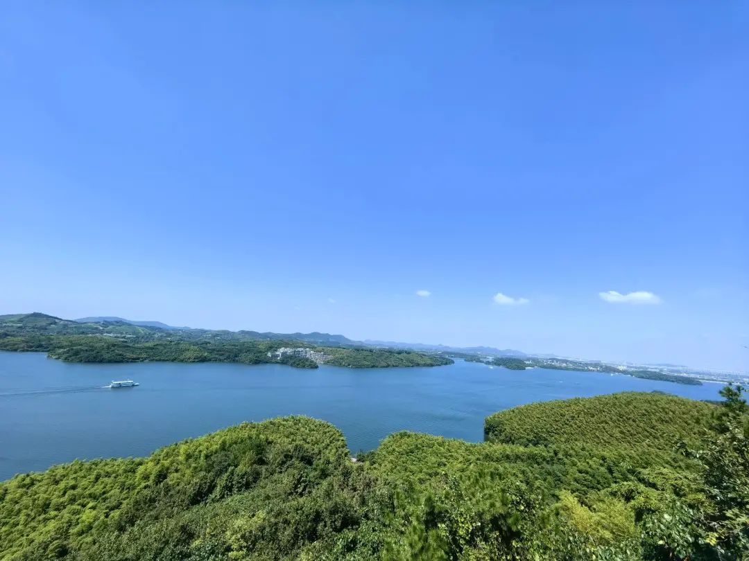 a2bee06f66063d3486411f36499062e7-sz_623468