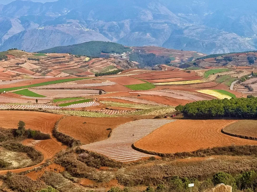 a2d8138c914e96d75d09507887f50a1e-sz_3218233