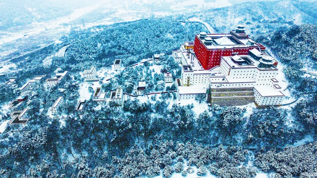 a2dd09f4b63d761c84ec7a18f1ccdc35-sz_2718302 a2dd09f4b63d761c84ec7a18f1ccdc35-sz_2718302