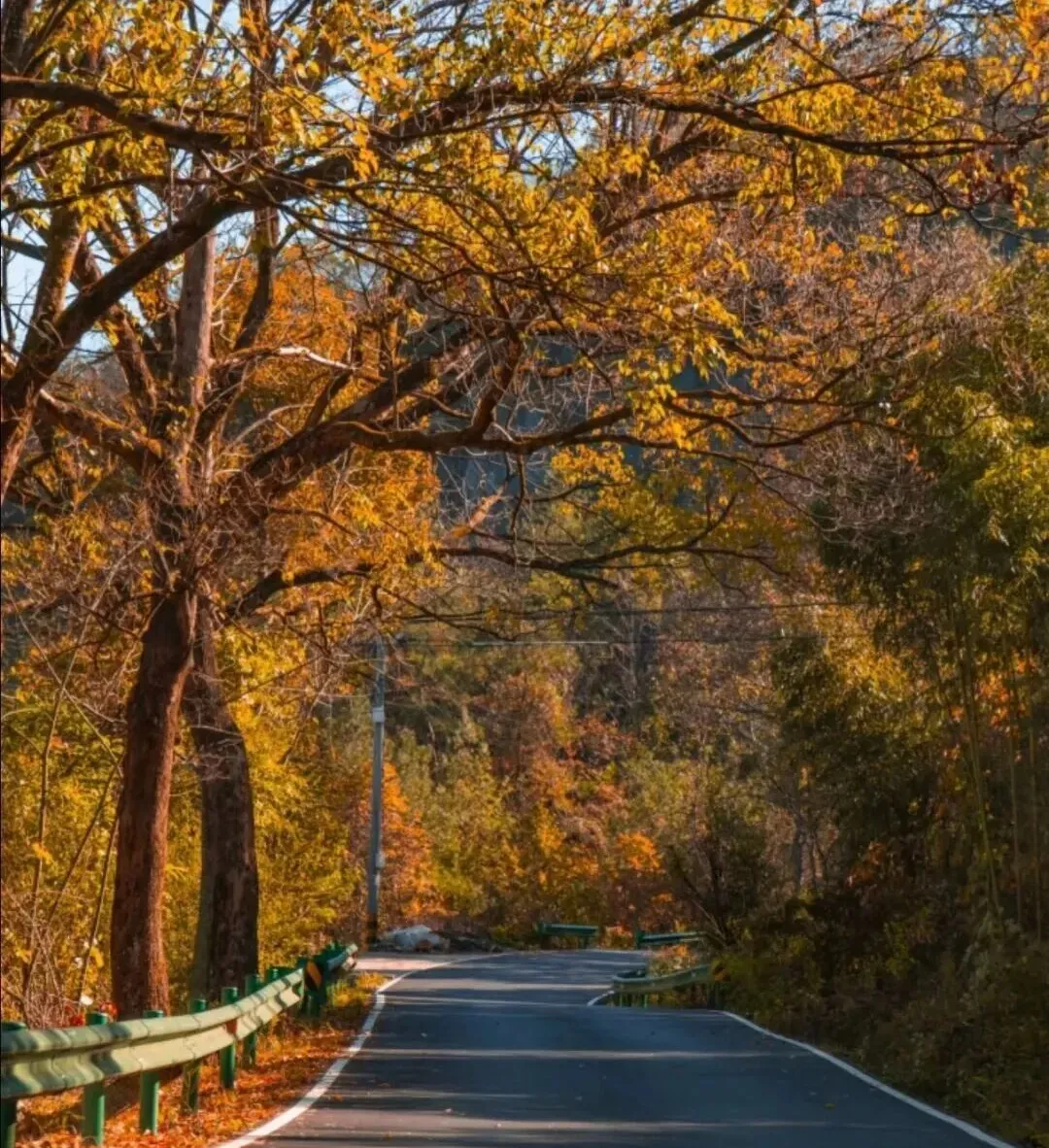 a2e53dd811bc5e36aa46e0cc16a7e8d8-sz_373330