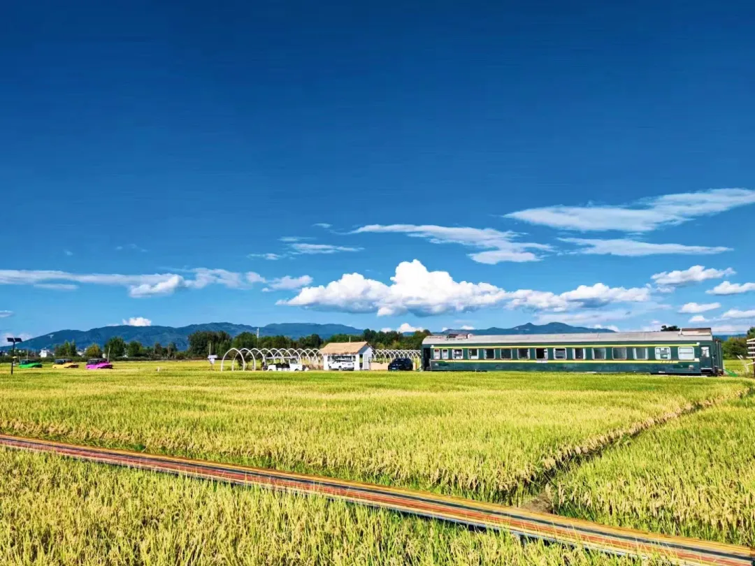 a2ebaeaadbd2a68b89c5c5116dbe339e-sz_431087