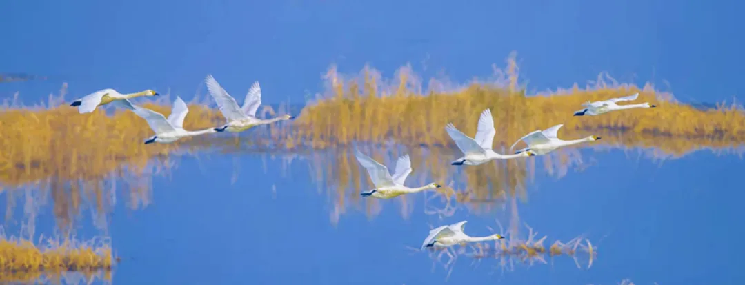 a2f1a1904123249c0b93e3b8d0e0be52-sz_329887