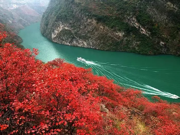 a2f464f7ce534bee8161055ccc109c6d-sz_395147 a2f464f7ce534bee8161055ccc109c6d-sz_395147