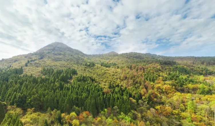 a3041b7649202a383a81bd0afb0cb9be-sz_1177061