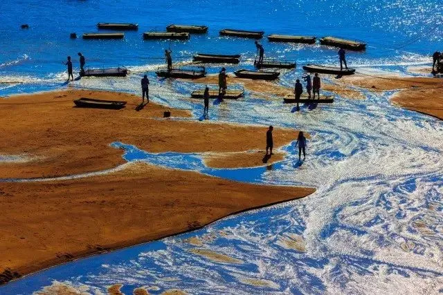 a3255ac6194143f07d17f0a78c36633d-sz_92191