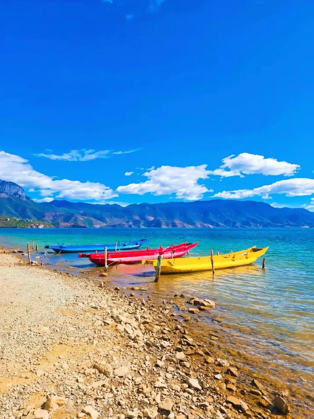 a3a7090048a577f21d40732ad63f8bcb-sz_653251-1