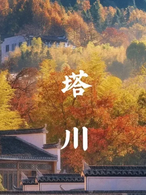 a3ab38a5af2c5ae14c35fbee6e590099-sz_977489 a3ab38a5af2c5ae14c35fbee6e590099-sz_977489