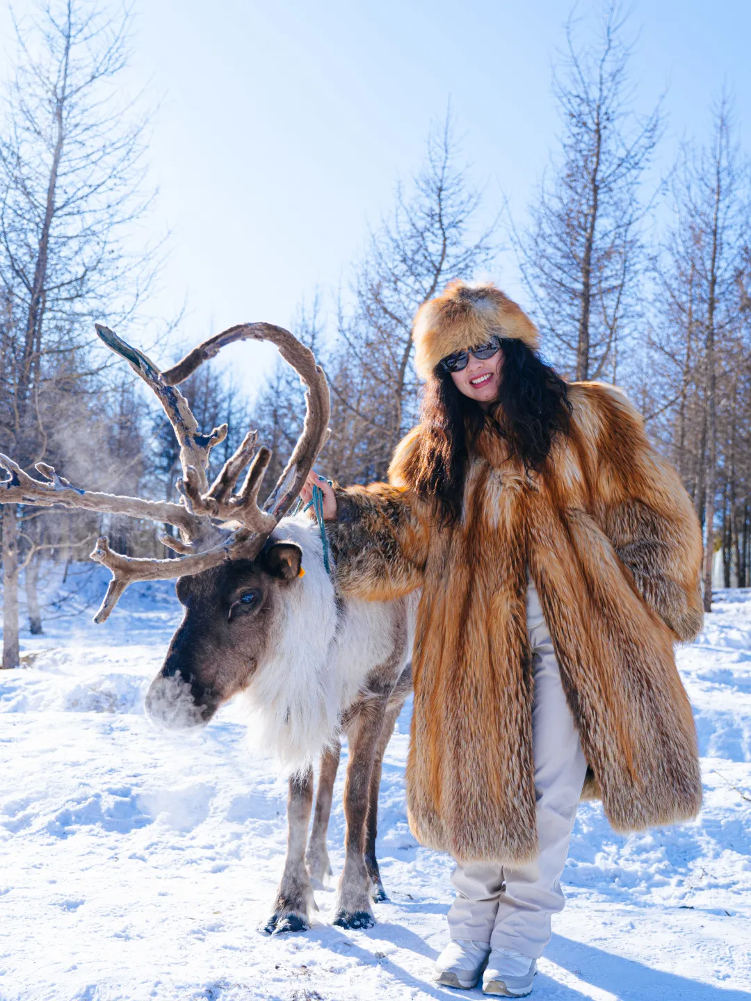 a3d15eeff6e98fd892f0ce47db077ccf-sz_3955221 a3d15eeff6e98fd892f0ce47db077ccf-sz_3955221