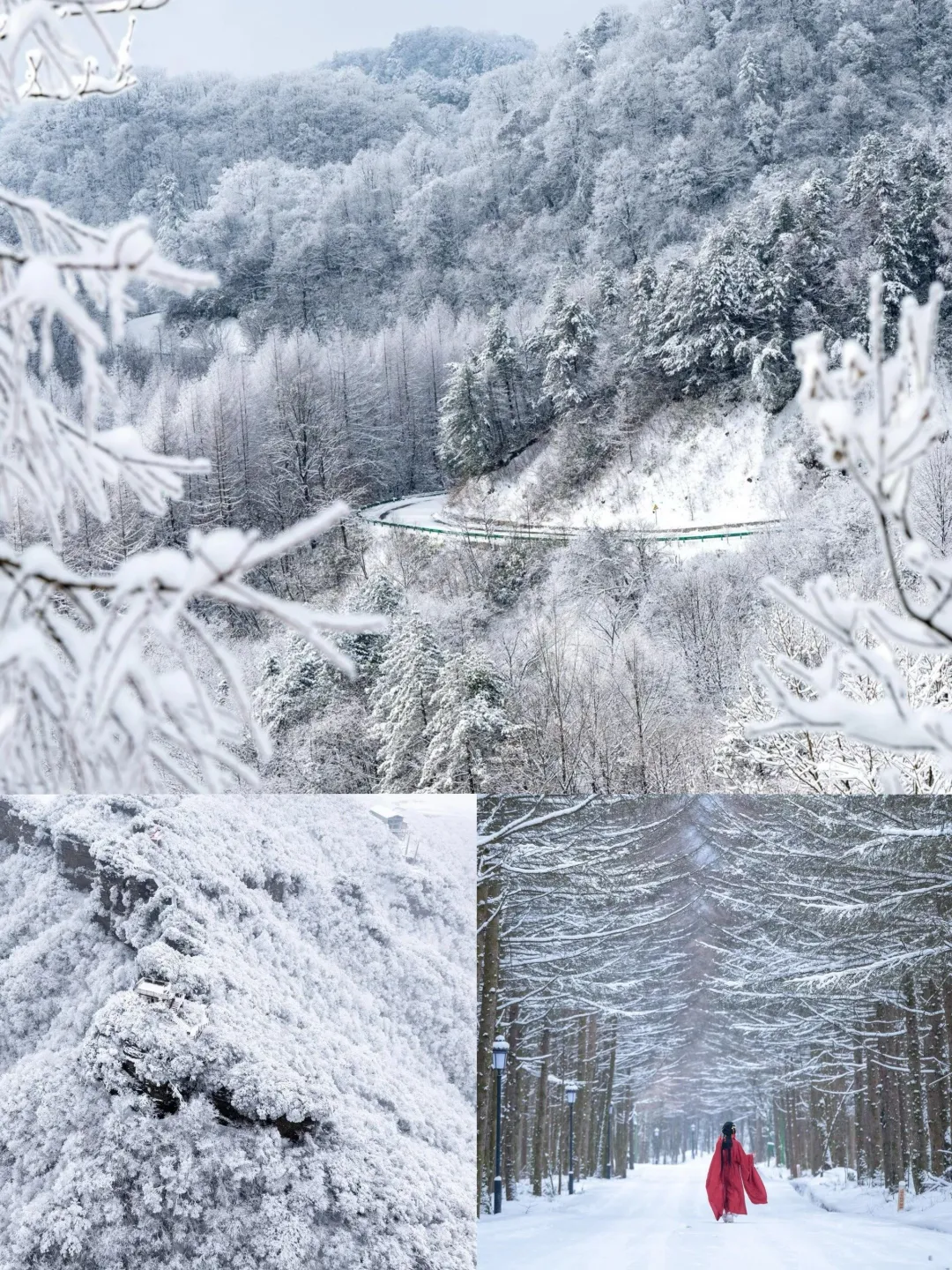 a3eaec1aedda223251eef9503be1ca19-sz_1445485