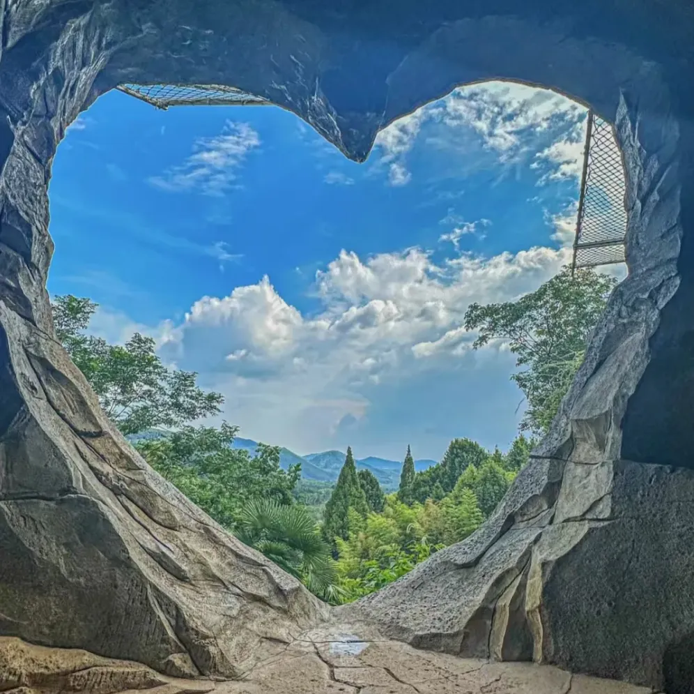 a3fc6f05641dcec0d02ab0b5963c580a-sz_1635167