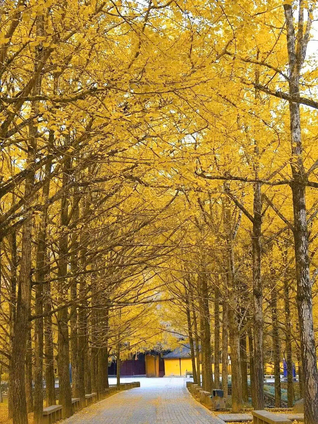 a3feef83cfbfb79b99d6f0b892c3e6a2-sz_3715263