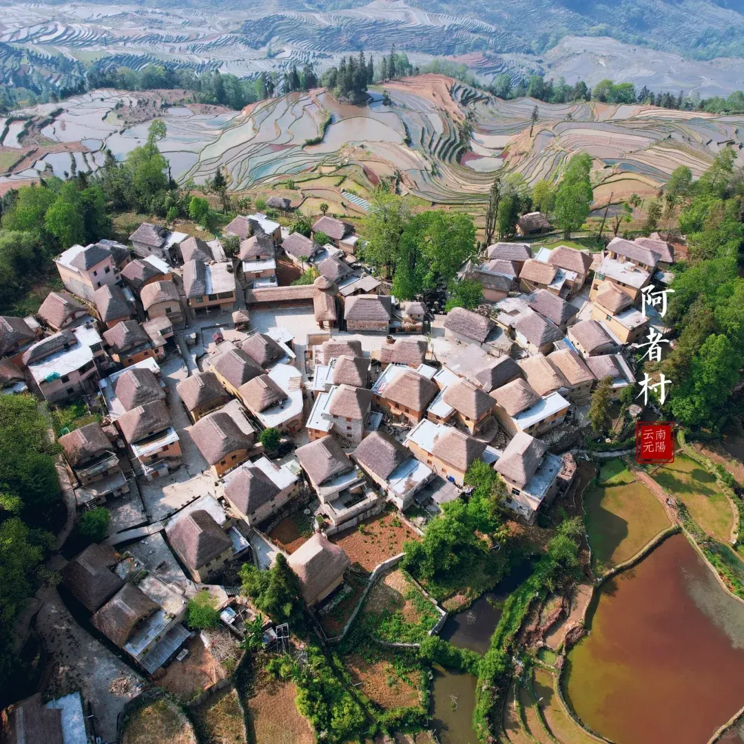 a41e8821a069dab8182eb5b095e6af27-sz_3160082