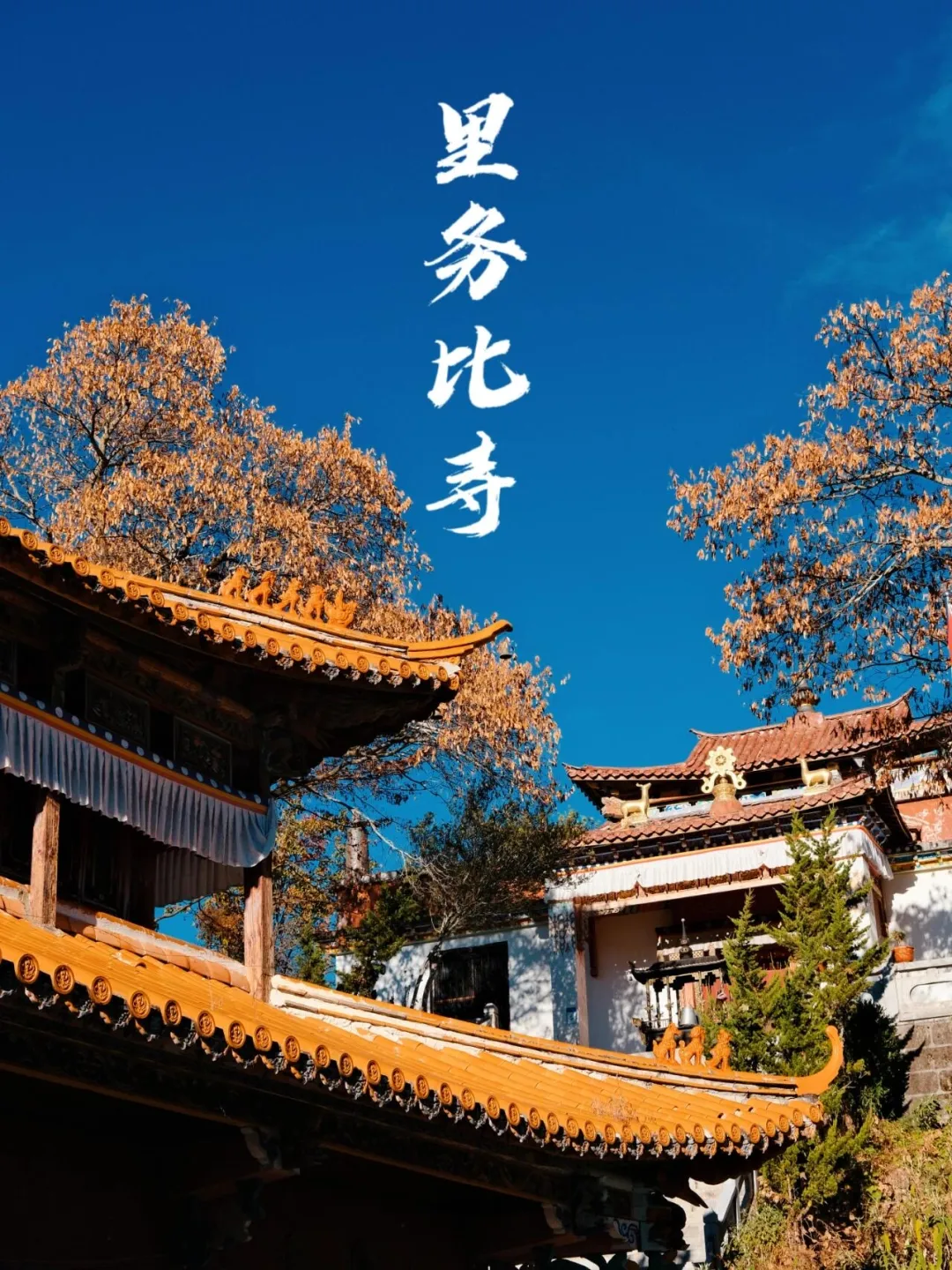 a44d5a209f3391063c21639af7ca5684-sz_604510-1