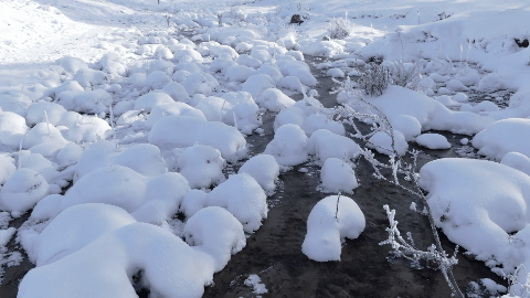 a44f530c60d0fb6625fdb30ec7336dfb-sz_4696440