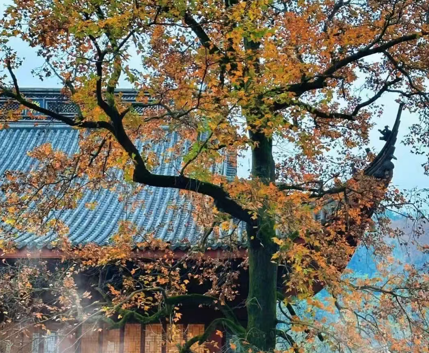 a45194ceea46d6f386cb8a11fc9ed9ee a45194ceea46d6f386cb8a11fc9ed9ee