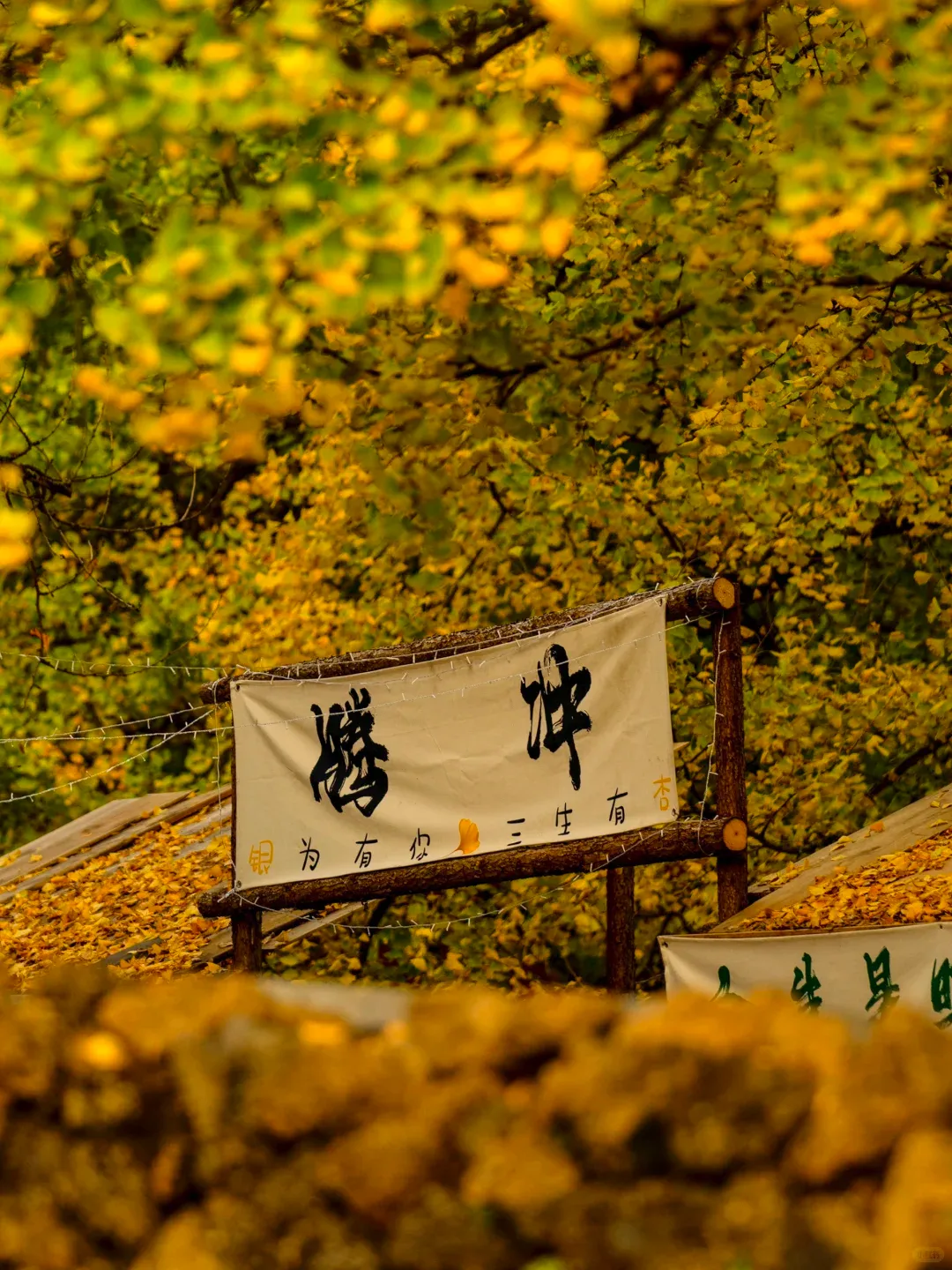 a45ab4e55542676cbe813f5086d1358a-sz_1929419 a45ab4e55542676cbe813f5086d1358a-sz_1929419