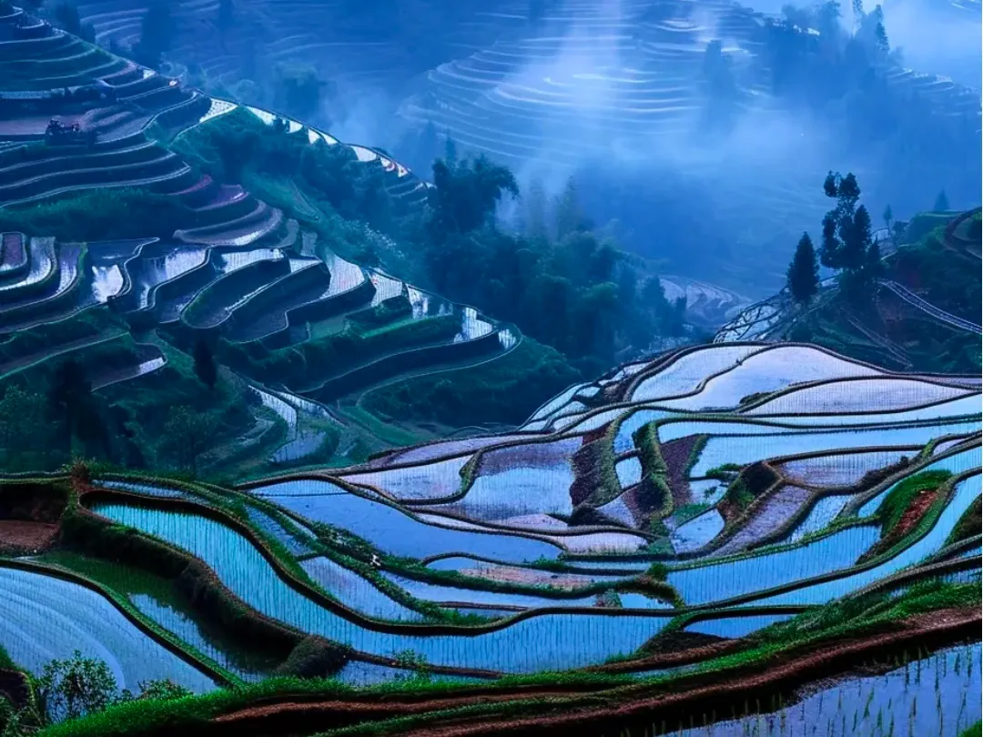 a4b7874525df3ec5f2d564d6e3ed90b9-sz_2568560