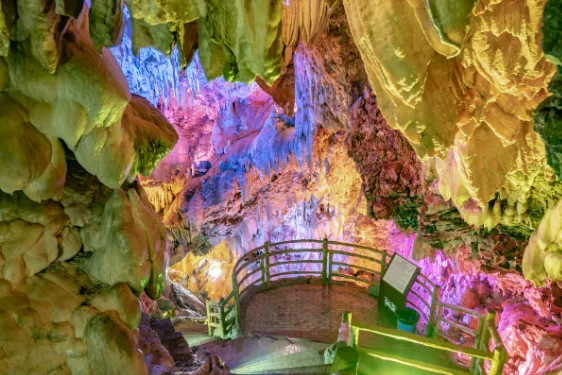 a4e1850478b5593683e597c2d7706493-sz_463413